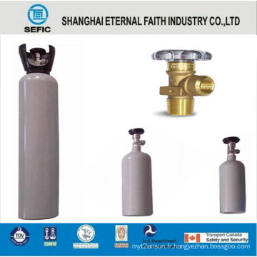 Cylindre de gaz en aluminium médical à haute pression